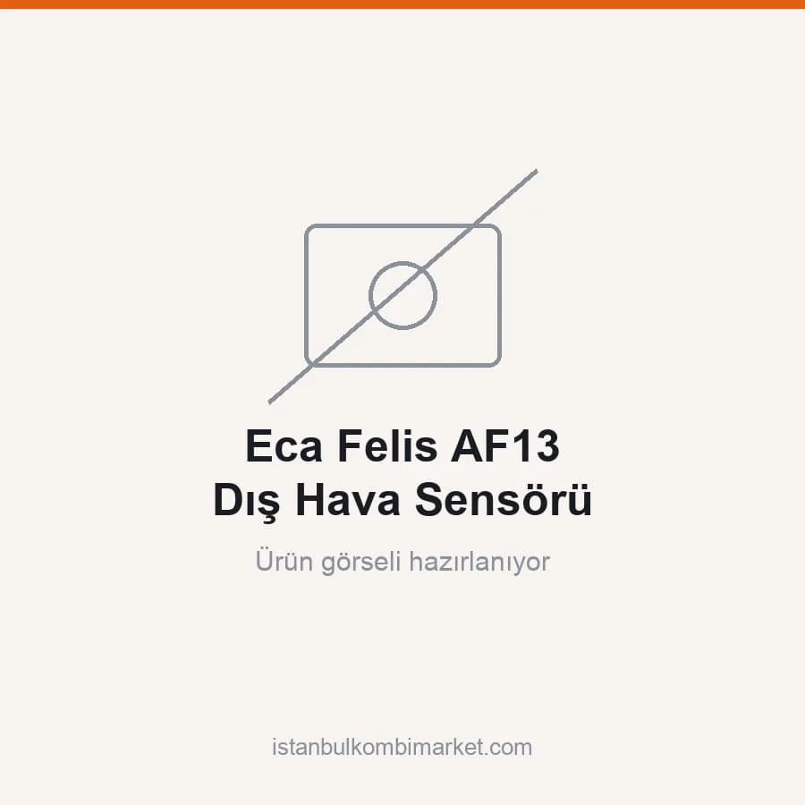 Eca Felis AF13 Dış Hava Sensörü